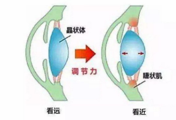 微信图片_20210309134944_缩小大小.jpg