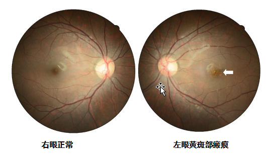 搜狗截图20211229101548.png 搜狗截图20211229101548.png