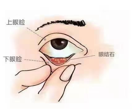 微信图片_20220413144702.jpg 微信图片_20220413144702.jpg